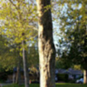 Meet your Posher, Nadia